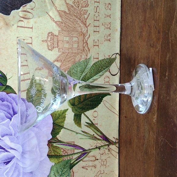 MARY DANKO WILLIAMS CUSTOM MARTINI GLASS QUARANTINE TIME I SURVIVED COVID-19 - Picture 5 of 8